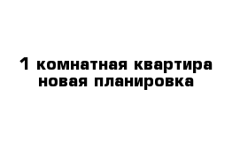 1 комнатная квартира новая планировка